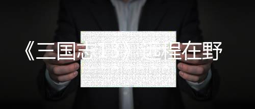 将录三略远野武用攻程在国志