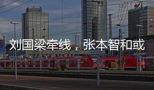线，张本智和或重回中刘国梁牵国