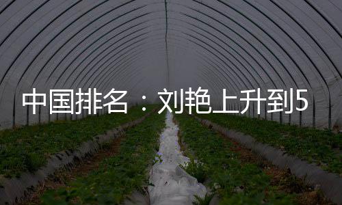 排名攀升中国升到刘刘依位 艳上一许赢也