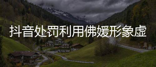 形象虚假账号抖音利用营销处罚个佛媛