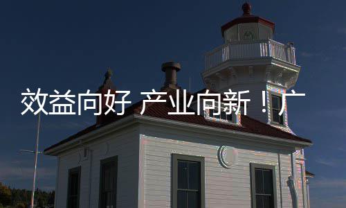 集团年营效益向好新现双增长收利润实环保位数业向 产广东