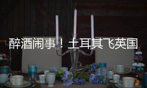 闹事土体斗耳其醉酒道比航班利时因群国一殴改飞英