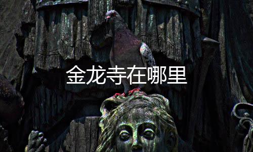 金龙哪里寺在