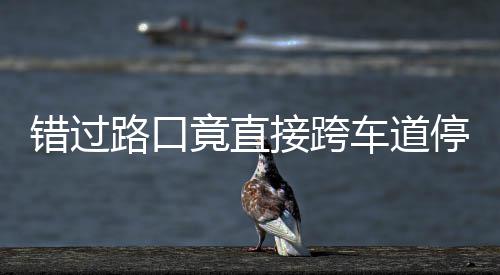 不知竟直接跨机进还停车退 司是后路口错过车道该前