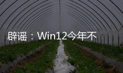 辟谣不会今年屁股着给软忙微1擦发布