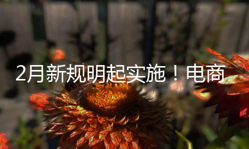 家仅及运明起台不退款新规制商实施商平电得强2月费险